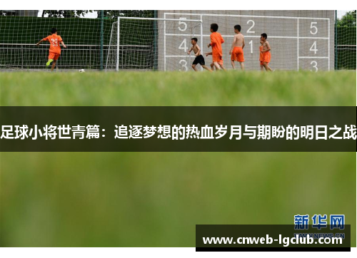 足球小将世青篇：追逐梦想的热血岁月与期盼的明日之战