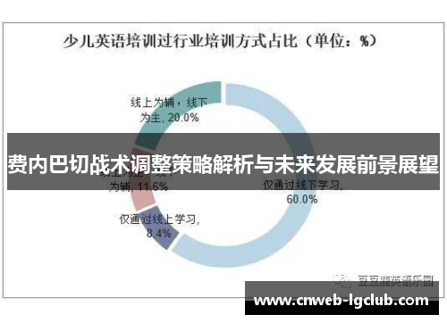 费内巴切战术调整策略解析与未来发展前景展望